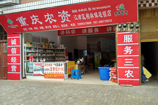 4支持重庆市农业生产资料（集团）有限公司江津区柏林连锁公司项目.jpg